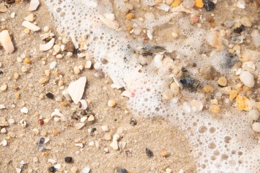 Köpüklü okyanus dalgaları, beyaz, kahverengi ve gri tonlarında çakıl taşları ve kırık deniz kabuklarının karışımıyla kaplı bir kıyıda yıkanır. Kıyıya yakın çekim.