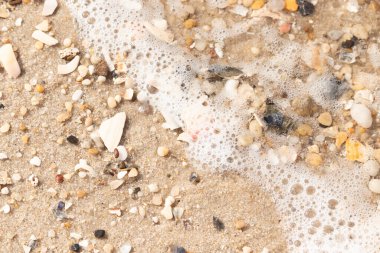 Köpüklü okyanus dalgaları, beyaz, kahverengi ve gri tonlarında çakıl taşları ve kırık deniz kabuklarının karışımıyla kaplı bir kıyıda yıkanır. Kıyıya yakın çekim.