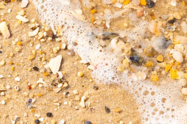 Köpüklü okyanus dalgaları, beyaz, kahverengi ve gri tonlarında çakıl taşları ve kırık deniz kabuklarının karışımıyla kaplı bir kıyıda yıkanır. Kıyıya yakın çekim.