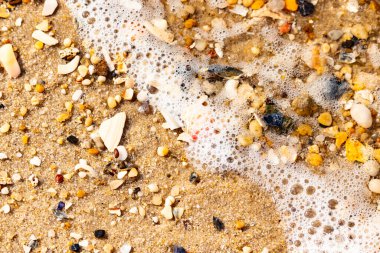 Köpüklü okyanus dalgaları, beyaz, kahverengi ve gri tonlarında çakıl taşları ve kırık deniz kabuklarının karışımıyla kaplı bir kıyıda yıkanır. Kıyıya yakın çekim.