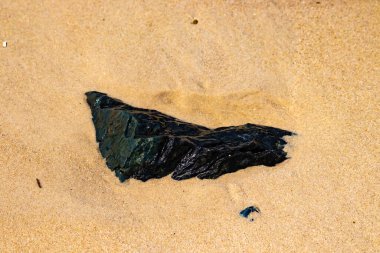 Koyu, parıldayan bir deniz kömürü ya da antrasit parçası açık kumların üzerinde yatar. Karşıtlık, hem kömürün hem de plajın dokusunu vurguluyor..