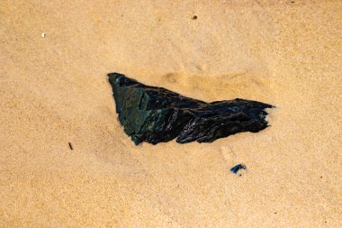 Koyu, parıldayan bir deniz kömürü ya da antrasit parçası açık kumların üzerinde yatar. Karşıtlık, hem kömürün hem de plajın dokusunu vurguluyor..