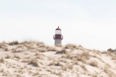Majestic Cape May Deniz Feneri kumlu kum tepelerinin tepesinde, parlak mavi bir gökyüzüne karşı dimdik ayakta duruyor. Huzurlu bir sahil manzarası.
