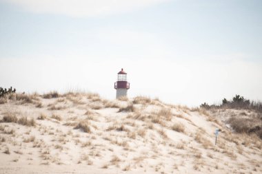 Majestic Cape May Deniz Feneri kumlu kum tepelerinin tepesinde, parlak mavi bir gökyüzüne karşı dimdik ayakta duruyor. Huzurlu bir sahil manzarası.
