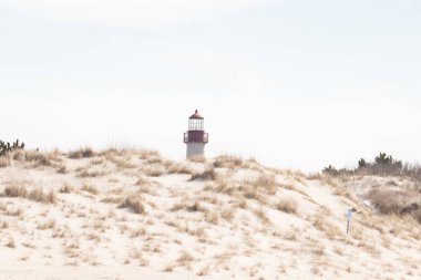 Majestic Cape May Deniz Feneri kumlu kum tepelerinin tepesinde, parlak mavi bir gökyüzüne karşı dimdik ayakta duruyor. Huzurlu bir sahil manzarası.