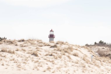 Majestic Cape May Deniz Feneri kumlu kum tepelerinin tepesinde, parlak mavi bir gökyüzüne karşı dimdik ayakta duruyor. Huzurlu bir sahil manzarası.