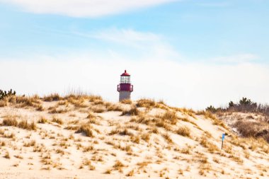 Majestic Cape May Deniz Feneri kumlu kum tepelerinin tepesinde, parlak mavi bir gökyüzüne karşı dimdik ayakta duruyor. Huzurlu bir sahil manzarası.
