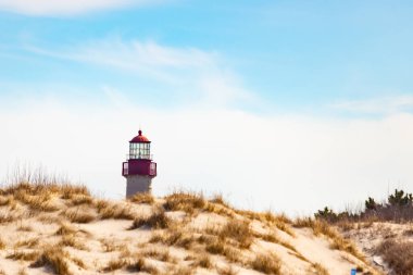 Majestic Cape May Deniz Feneri kumlu kum tepelerinin tepesinde, parlak mavi bir gökyüzüne karşı dimdik ayakta duruyor. Huzurlu bir sahil manzarası.