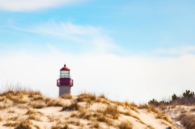 Majestic Cape May Deniz Feneri kumlu kum tepelerinin tepesinde, parlak mavi bir gökyüzüne karşı dimdik ayakta duruyor. Huzurlu bir sahil manzarası.