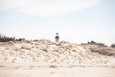 Majestic Cape May Deniz Feneri kumlu kum tepelerinin tepesinde, parlak mavi bir gökyüzüne karşı dimdik ayakta duruyor. Huzurlu bir sahil manzarası.