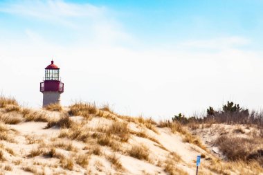 Majestic Cape May Deniz Feneri kumlu kum tepelerinin tepesinde, parlak mavi bir gökyüzüne karşı dimdik ayakta duruyor. Huzurlu bir sahil manzarası.