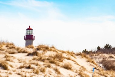 Majestic Cape May Deniz Feneri kumlu kum tepelerinin tepesinde, parlak mavi bir gökyüzüne karşı dimdik ayakta duruyor. Huzurlu bir sahil manzarası.