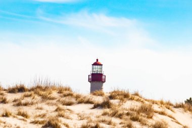 Majestic Cape May Deniz Feneri kumlu kum tepelerinin tepesinde, parlak mavi bir gökyüzüne karşı dimdik ayakta duruyor. Huzurlu bir sahil manzarası.