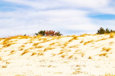 Parlak mavi gökyüzünün altında ince bulutlu, seyrek bitki örtüsü olan kum tepeciklerini süpürüyor. Sakin bir kıyı manzarası.