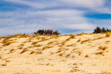 Parlak mavi gökyüzünün altında ince bulutlu, seyrek bitki örtüsü olan kum tepeciklerini süpürüyor. Sakin bir kıyı manzarası.