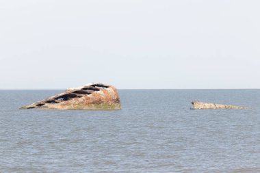 Bir gemi enkazının paslı kalıntıları, sayısız siyah kuşa tüneme olanağı sağlayan sakin, koyu mavi denizden ortaya çıkar. Gökyüzü bulutlu. Cape May New Jersey 'de perili sahil manzarası.
