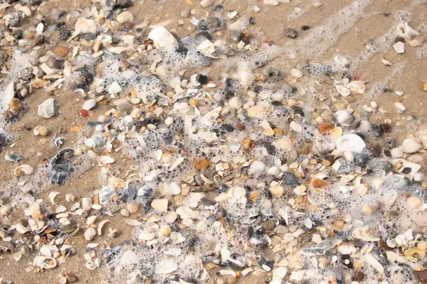 Canlı bir yakın plan, kumlu zemine dağılmış renkli deniz kabukları ve pürüzsüz çakıl taşlarıyla dolu desenli bir plaj sahnesini yakalar..