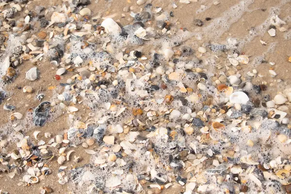 Canlı bir yakın plan, kumlu zemine dağılmış renkli deniz kabukları ve pürüzsüz çakıl taşlarıyla dolu desenli bir plaj sahnesini yakalar..