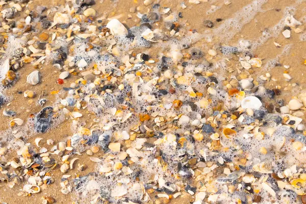 Canlı bir yakın plan, kumlu zemine dağılmış renkli deniz kabukları ve pürüzsüz çakıl taşlarıyla dolu desenli bir plaj sahnesini yakalar..