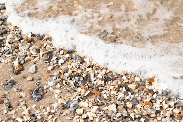 Köpüklü okyanus dalgaları, beyaz, kahverengi ve gri tonlarında çakıl taşları ve kırık deniz kabuklarının karışımıyla kaplı bir kıyıda yıkanır. Kıyıya yakın çekim.