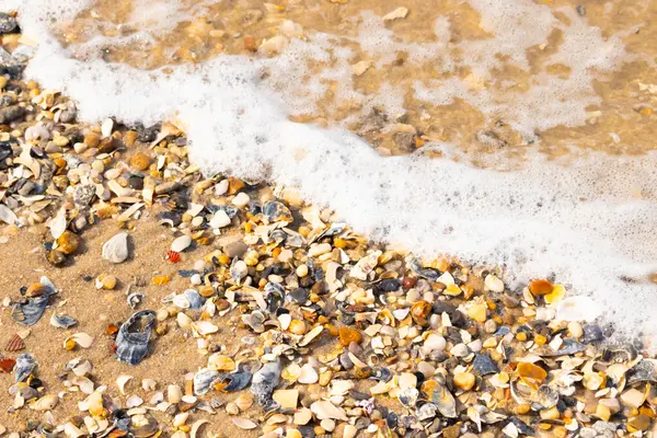 Köpüklü okyanus dalgaları, beyaz, kahverengi ve gri tonlarında çakıl taşları ve kırık deniz kabuklarının karışımıyla kaplı bir kıyıda yıkanır. Kıyıya yakın çekim.