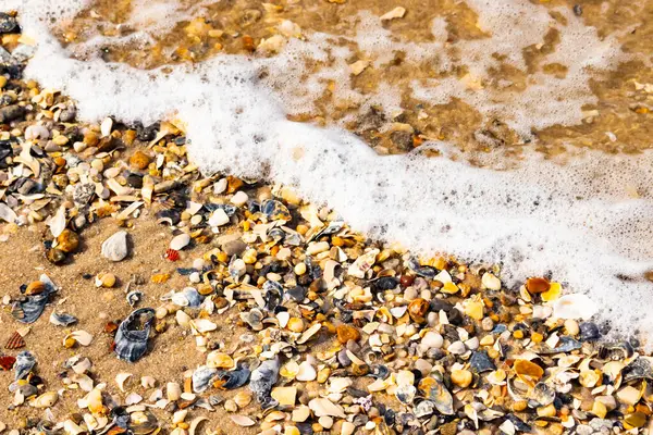 Köpüklü okyanus dalgaları, beyaz, kahverengi ve gri tonlarında çakıl taşları ve kırık deniz kabuklarının karışımıyla kaplı bir kıyıda yıkanır. Kıyıya yakın çekim.
