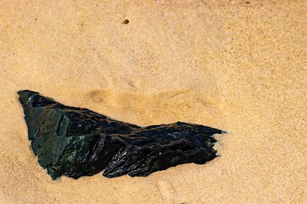 Koyu, parıldayan bir deniz kömürü ya da antrasit parçası açık kumların üzerinde yatar. Karşıtlık, hem kömürün hem de plajın dokusunu vurguluyor..