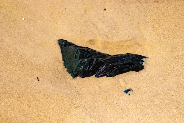 Koyu, parıldayan bir deniz kömürü ya da antrasit parçası açık kumların üzerinde yatar. Karşıtlık, hem kömürün hem de plajın dokusunu vurguluyor..