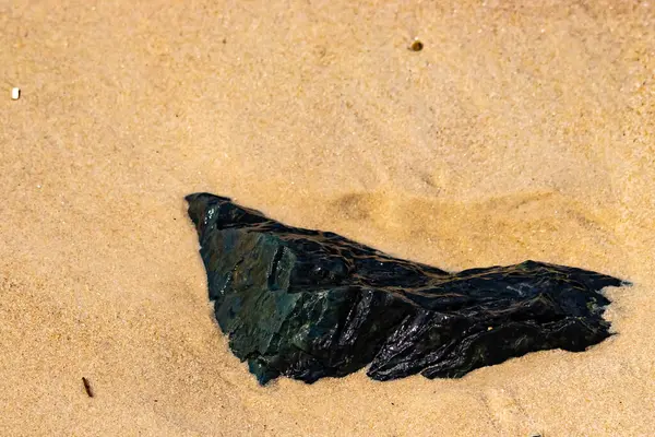 Koyu, parıldayan bir deniz kömürü ya da antrasit parçası açık kumların üzerinde yatar. Karşıtlık, hem kömürün hem de plajın dokusunu vurguluyor..