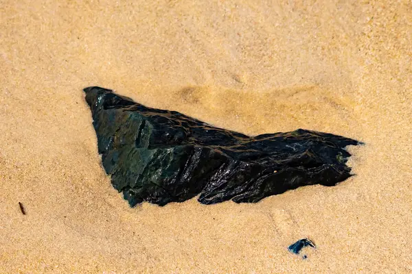 Koyu, parıldayan bir deniz kömürü ya da antrasit parçası açık kumların üzerinde yatar. Karşıtlık, hem kömürün hem de plajın dokusunu vurguluyor..