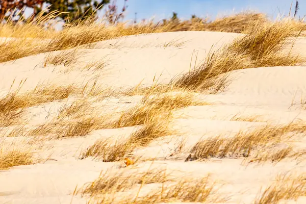 Parlak mavi gökyüzünün altında ince bulutlu, seyrek bitki örtüsü olan kum tepeciklerini süpürüyor. Sakin bir kıyı manzarası.