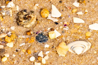 Çeşitli küçük deniz kabukları, çakıl taşları ve renkli parçalarla yakın plan kumlar. Dokusal plaj ayrıntıları.