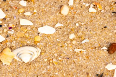 Çeşitli küçük deniz kabukları, çakıl taşları ve renkli parçalarla yakın plan kumlar. Dokusal plaj ayrıntıları.