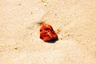 Sandy etrafa saçılmış küçük kabuklar ve çakıl taşları ile, göze çarpan canlı kırmızı bir parça da dahil. Sahil tarama bulma.