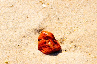Sandy etrafa saçılmış küçük kabuklar ve çakıl taşları ile, göze çarpan canlı kırmızı bir parça da dahil. Sahil tarama bulma.