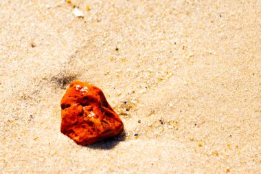 Sandy etrafa saçılmış küçük kabuklar ve çakıl taşları ile, göze çarpan canlı kırmızı bir parça da dahil. Sahil tarama bulma.