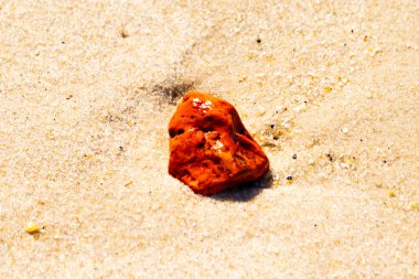 Sandy etrafa saçılmış küçük kabuklar ve çakıl taşları ile, göze çarpan canlı kırmızı bir parça da dahil. Sahil tarama bulma.