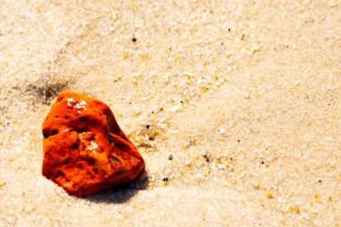 Sandy etrafa saçılmış küçük kabuklar ve çakıl taşları ile, göze çarpan canlı kırmızı bir parça da dahil. Sahil tarama bulma.
