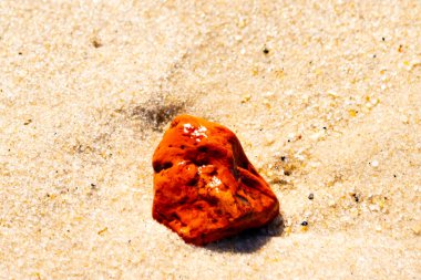 Sandy etrafa saçılmış küçük kabuklar ve çakıl taşları ile, göze çarpan canlı kırmızı bir parça da dahil. Sahil tarama bulma.