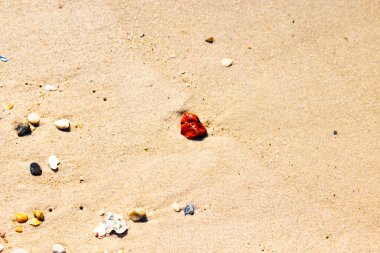 Sandy etrafa saçılmış küçük kabuklar ve çakıl taşları ile, göze çarpan canlı kırmızı bir parça da dahil. Sahil tarama bulma.