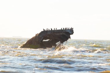 Dalgalar çürüyen bir gemi enkazına çarpıyor, şimdi parlak bir gökyüzünün altında kuşlar için bir tünek. Uzak bir gemi denizin sonsuzluğunu ima ediyor. Bu May Burnu 'nun batmış gemisi..