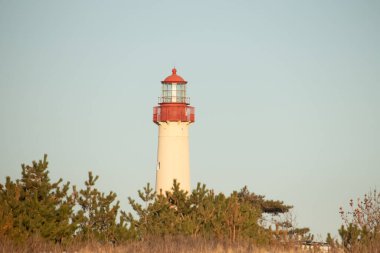Kırmızı tepeli canlı sarı bir deniz feneri açık mavi gökyüzüne karşı dimdik duruyor, kıyı çalılarının ve alçak bir binanın üzerinden bakıyor. Burası New Jersey 'deki Cape May Point feneri..