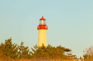 Kırmızı tepeli canlı sarı bir deniz feneri açık mavi gökyüzüne karşı dimdik duruyor, kıyı çalılarının ve alçak bir binanın üzerinden bakıyor. Burası New Jersey 'deki Cape May Point feneri..