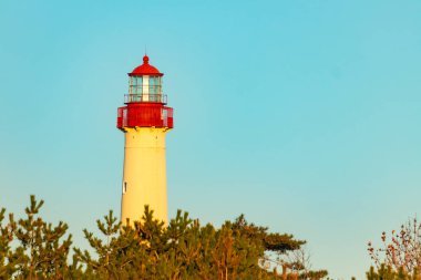 Kırmızı tepeli canlı sarı bir deniz feneri açık mavi gökyüzüne karşı dimdik duruyor, kıyı çalılarının ve alçak bir binanın üzerinden bakıyor. Burası New Jersey 'deki Cape May Point feneri..