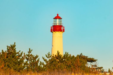 Kırmızı tepeli canlı sarı bir deniz feneri açık mavi gökyüzüne karşı dimdik duruyor, kıyı çalılarının ve alçak bir binanın üzerinden bakıyor. Burası New Jersey 'deki Cape May Point feneri..