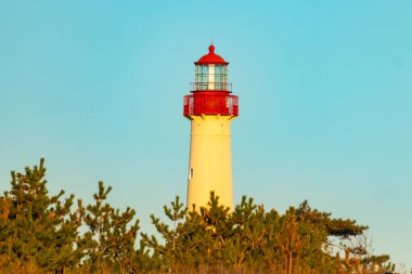 Kırmızı tepeli canlı sarı bir deniz feneri açık mavi gökyüzüne karşı dimdik duruyor, kıyı çalılarının ve alçak bir binanın üzerinden bakıyor. Burası New Jersey 'deki Cape May Point feneri..