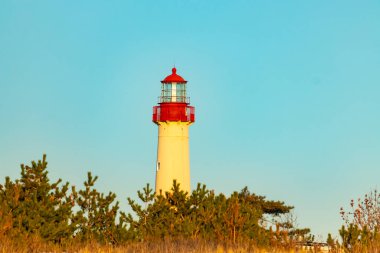 Kırmızı tepeli canlı sarı bir deniz feneri açık mavi gökyüzüne karşı dimdik duruyor, kıyı çalılarının ve alçak bir binanın üzerinden bakıyor. Burası New Jersey 'deki Cape May Point feneri..