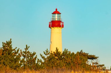 Kırmızı tepeli canlı sarı bir deniz feneri açık mavi gökyüzüne karşı dimdik duruyor, kıyı çalılarının ve alçak bir binanın üzerinden bakıyor. Burası New Jersey 'deki Cape May Point feneri..