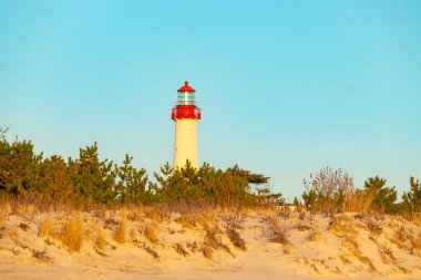 Kırmızı tepeli canlı sarı bir deniz feneri açık mavi gökyüzüne karşı dimdik duruyor, kıyı çalılarının ve alçak bir binanın üzerinden bakıyor. Burası New Jersey 'deki Cape May Point feneri..