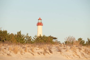 Kırmızı tepeli canlı sarı bir deniz feneri açık mavi gökyüzüne karşı dimdik duruyor, kıyı çalılarının ve alçak bir binanın üzerinden bakıyor. Burası New Jersey 'deki Cape May Point feneri..
